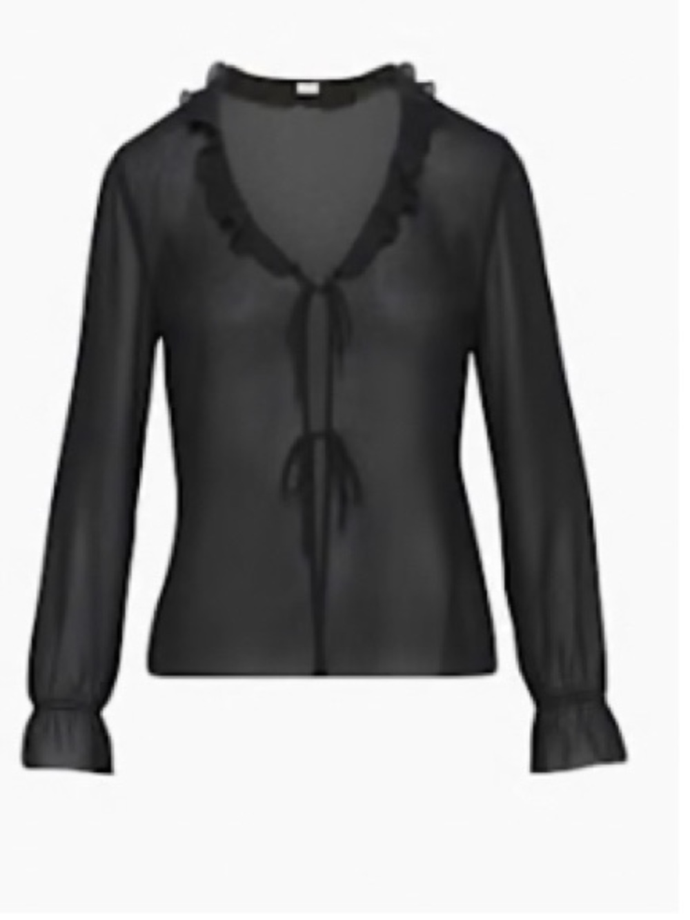 Sunday Best Sheer Blouse